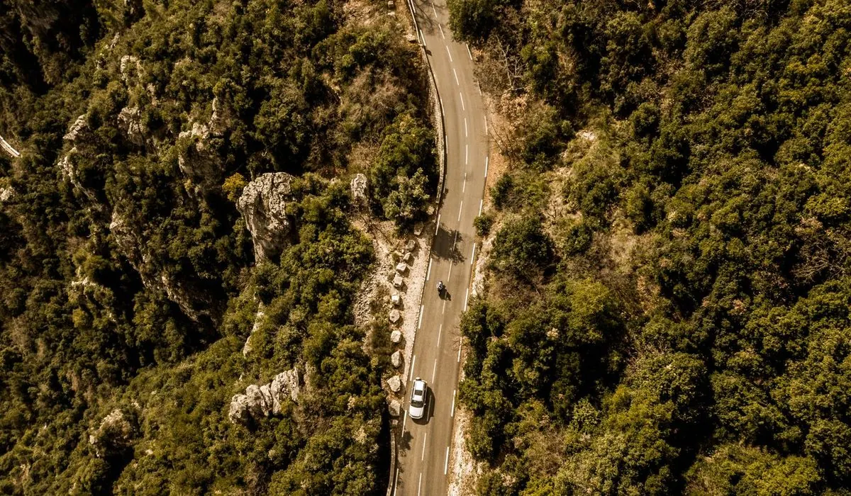 Route sinueuse à travers la forêt vue du ciel